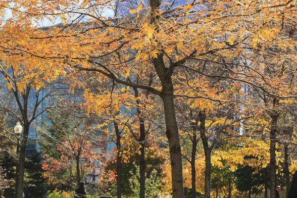 Rose Kennedy Greenway Fall Boston Massachusetts Usa — Stock Photo, Image