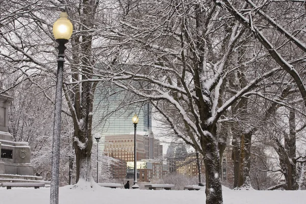 Hófákkal Borított Fák Lámpaoszlopokkal Egy Nyilvános Parkban Boston Common Back — Stock Fotó