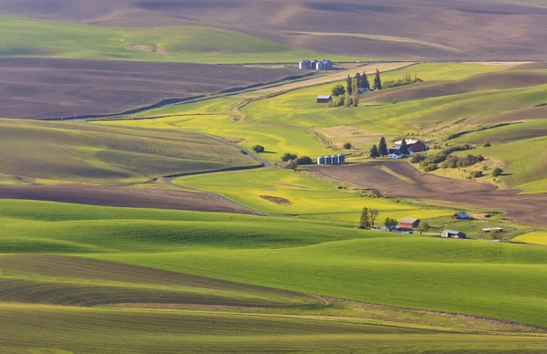 Gårdar Och Jordbruksmark Runt Palouse Östra Washington Washington Förenta Staterna — Stockfoto