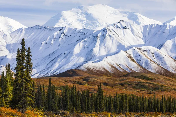 Salju Segar Menyelimuti Pegunungan Musim Gugur Denali National Park Preserve — Stok Foto