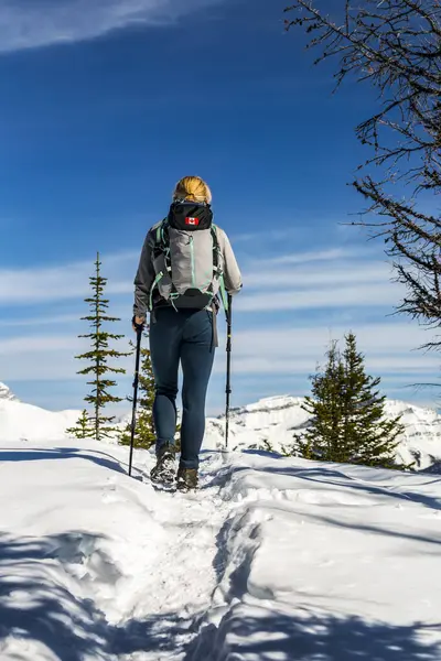 加拿大艾伯塔省路易湖的女徒步旅行者 行走在白雪覆盖的小径上 背景是高山 蓝天和云彩 — 图库照片