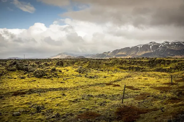 Lava Fields Moss Covering Volcanic Rock Iceland — Stock Photo, Image