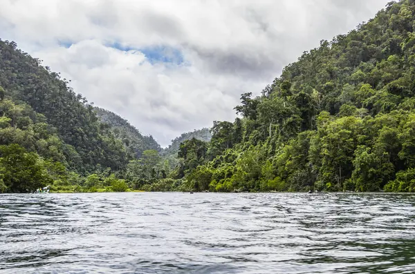 Vista Panorámica Del Paisaje Del Río Warsambin Papúa Occidental Indonesia — Foto de Stock