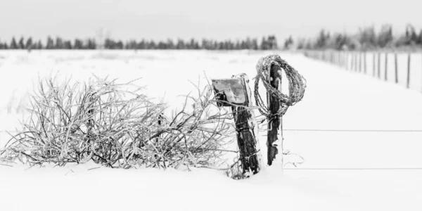 氷で覆われた草やフェンス 聖マリー ミシガン州 アメリカ合衆国 — ストック写真