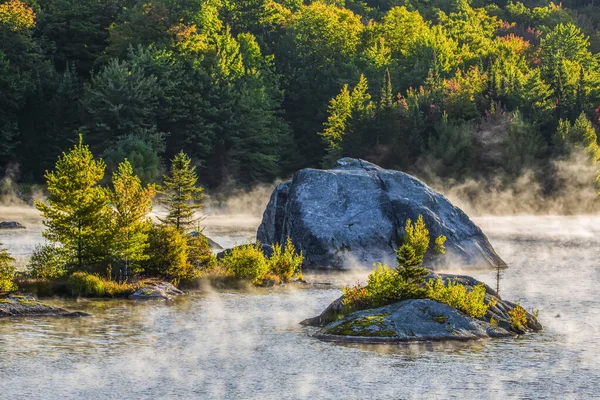 Formações Rochosas Com Plantas Água Rasa Brome Lake Com Nevoeiro — Fotografia de Stock