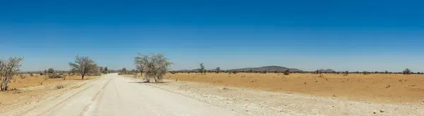 Largo Camino Abierto Parque Nacional Etosha Namibia —  Fotos de Stock