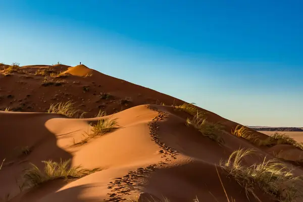 Vista Panorâmica Paisagem Morta Deserto Namíbia Namíbia — Fotografia de Stock