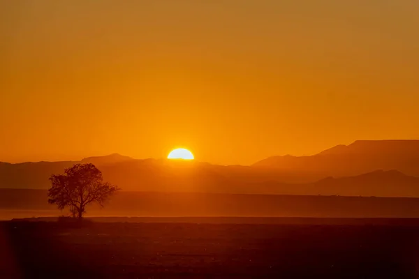 Sunrise Aluvlei Namib Naukluft National Park Namibia — Stock Photo, Image