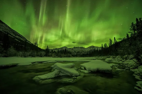 Polarlichter Oder Nordlicht Yukon Nachthimmel Yukon Kanada — Stockfoto