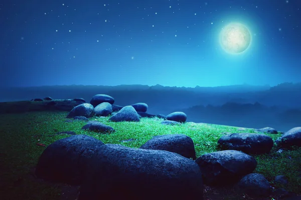 Park arka plan dolunay gizemli gece