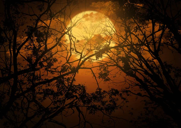 Spooky halloween geçmiş