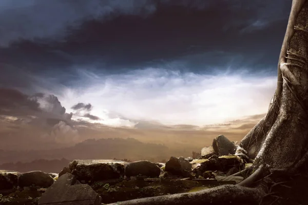 Background of tree roots and stones with dramatic clouds — Stock Photo, Image