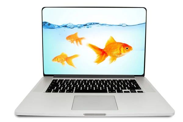 Goudvis zwemmen op laptop scherm — Stockfoto