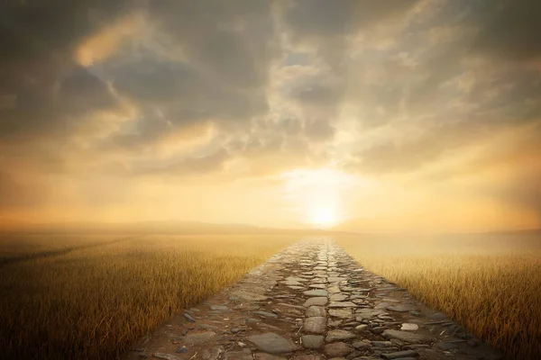 Mağaradan çıkış, gece manzarası, dolunay ve kırsal gece.. 