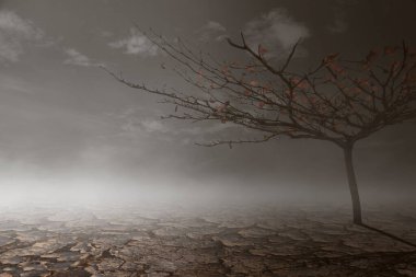 Sis ya da sis ile koyu yoğunlaştırılmış döşeme