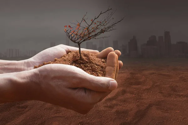 Planten Klimaatverandering Met Het Concept Van Opwarming Van Aarde Hand — Stockfoto