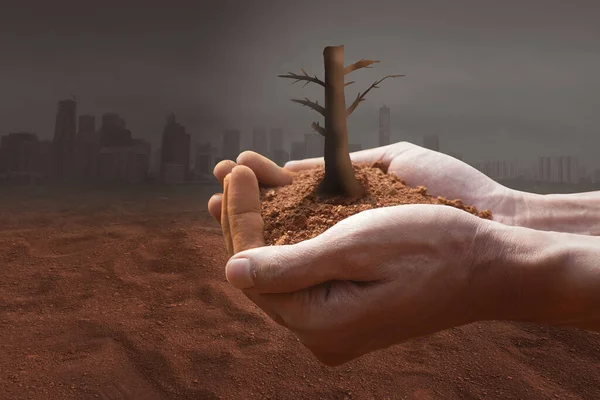 Planten Klimaatverandering Met Het Concept Van Opwarming Van Aarde Hand — Stockfoto