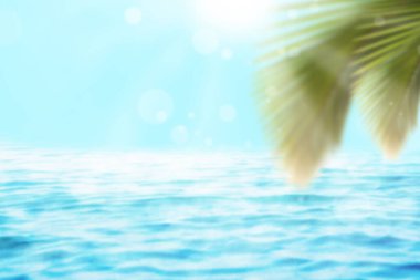 Güzel doğa yeşil palmiye yaprağı bokeh güneş ışık dalga arka plan ile tropik sahilde bulanıklık. 