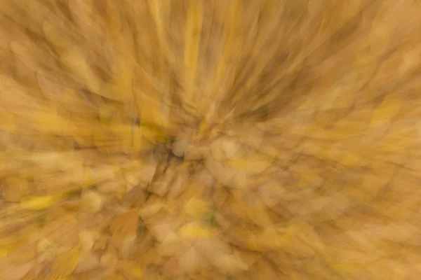 Verschwommener Hintergrund von abgefallenen Blättern. — Stockfoto