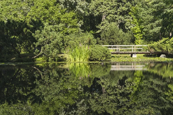 De brug in het park. — Stockfoto