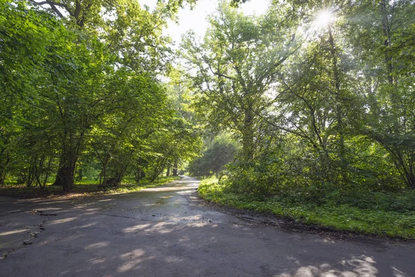 Moskou Park Vroeg Ochtend Het Lente — Stockfoto