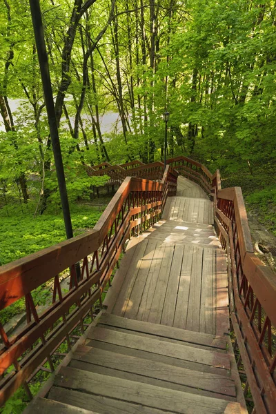 夏季公园的木制楼梯 免版税图库照片