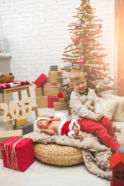 Sorrindo menino e seu irmãozinho perto da árvore de xmas da moda — Fotografia de Stock