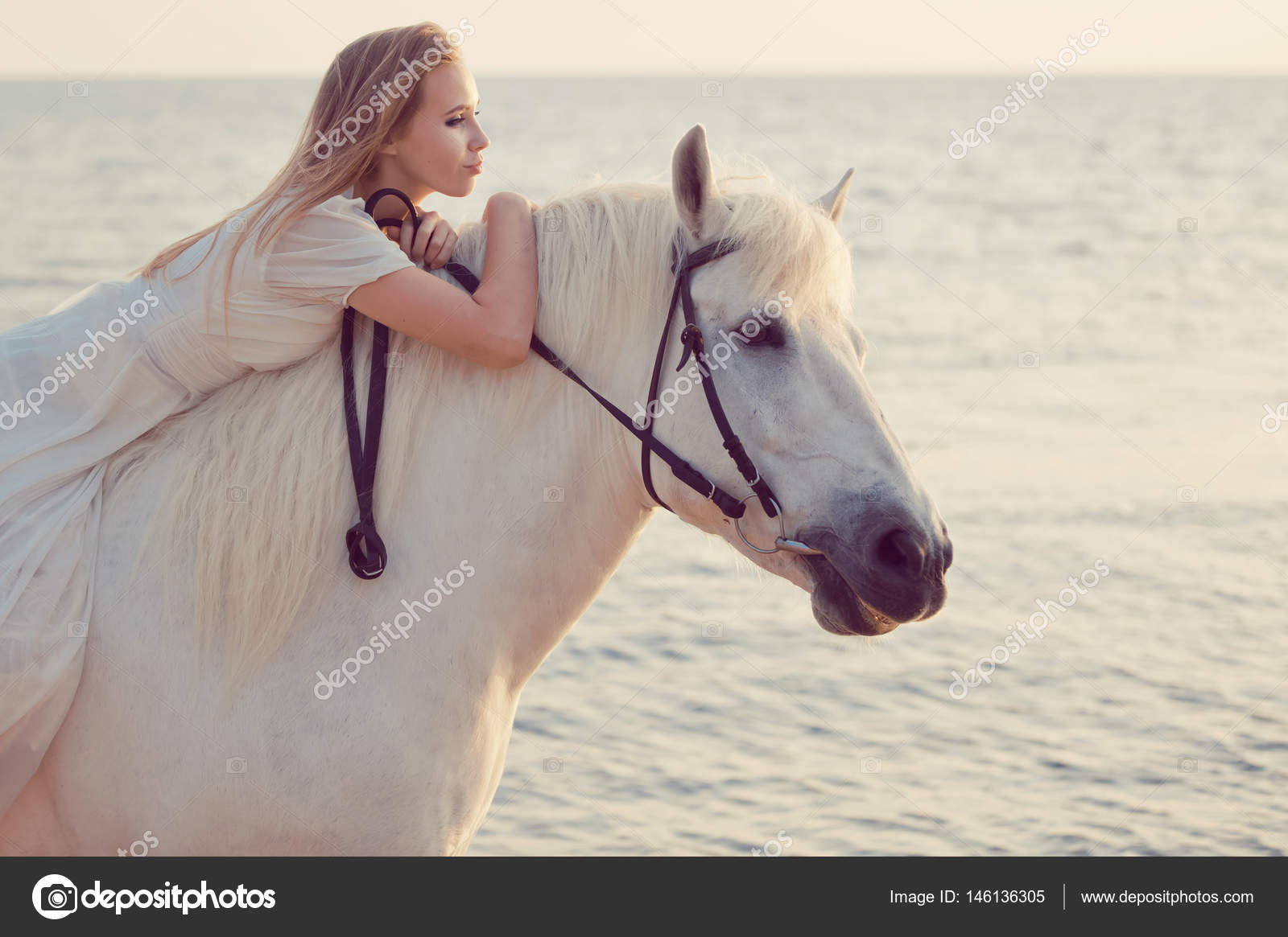 Girl in white dress with horse on the beach Stock Photo by ©kirill_grekov 146136305 Girl In White Dress With Horse On The Beach Stock Photo By ©Kirill_Grekov 146136305