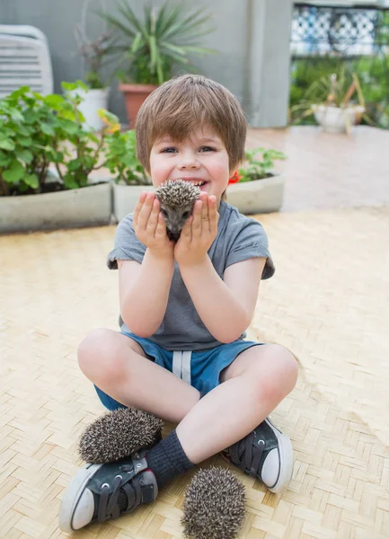 Ragazzino che gioca con riccio — Foto Stock