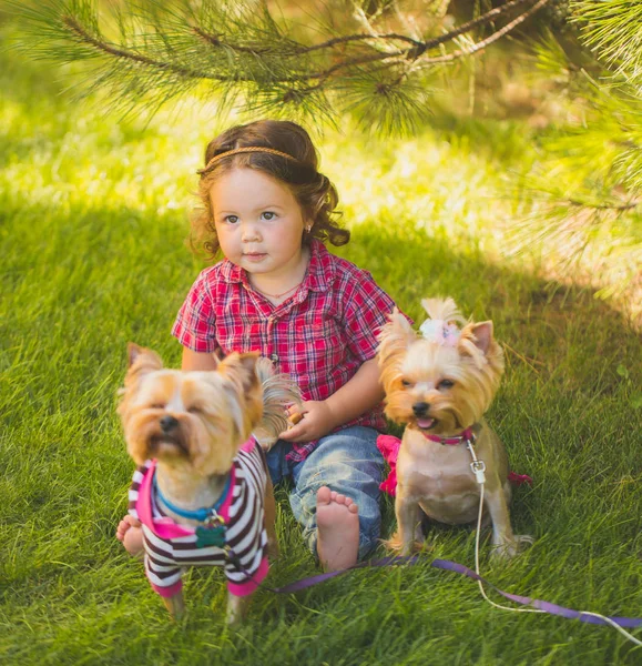 Bébé fille et deux yorkshire terrier — Photo