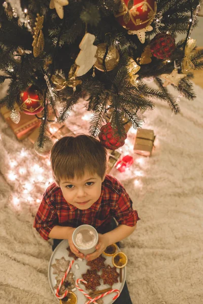 Boy laying under christmas tree with chocolate drink. — Stock Photo, Image