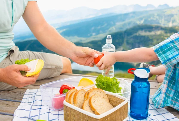 Famiglia su un picnic in montagna — Foto Stock