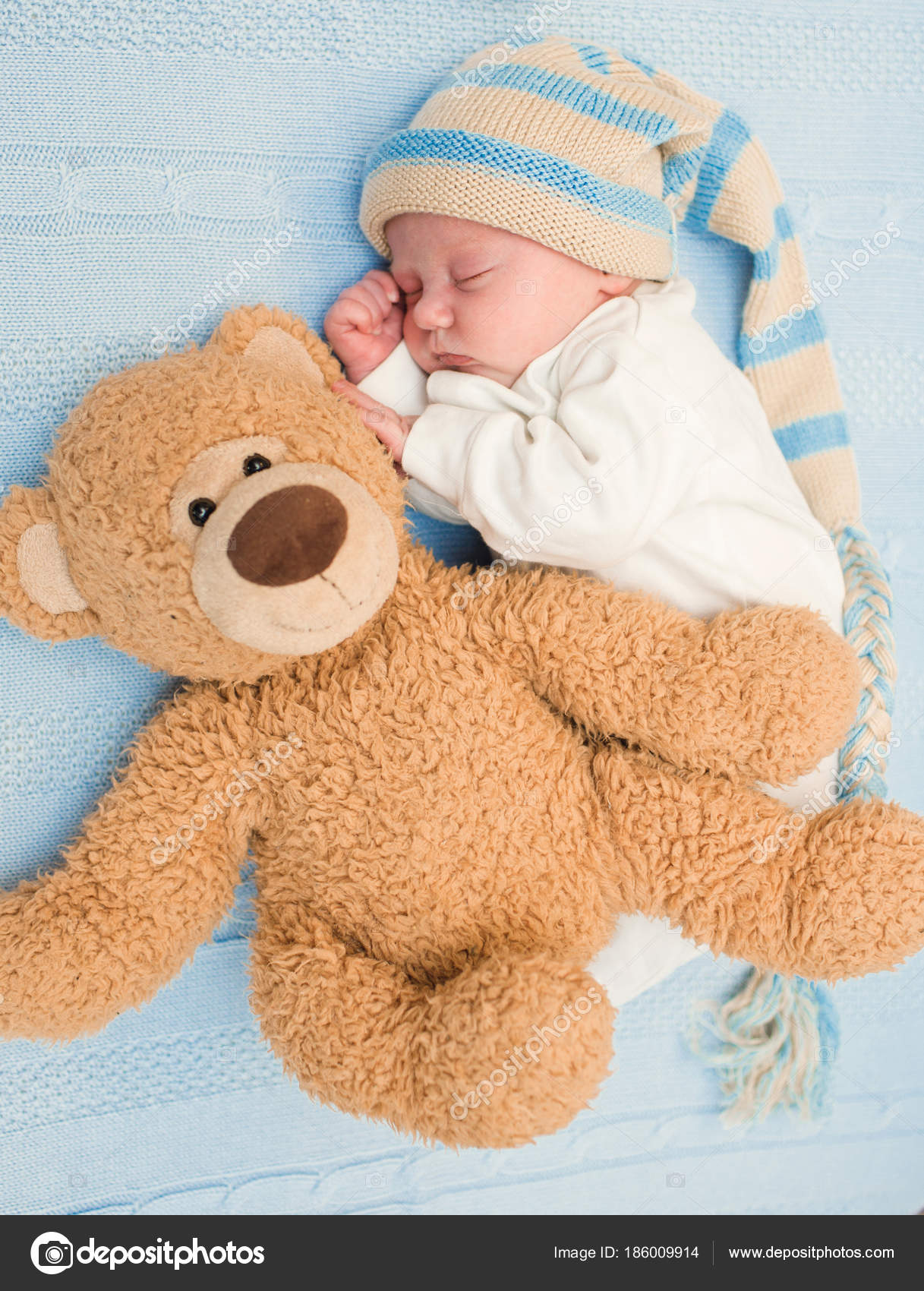 teddy newborn