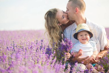 Young family in a lavender field clipart