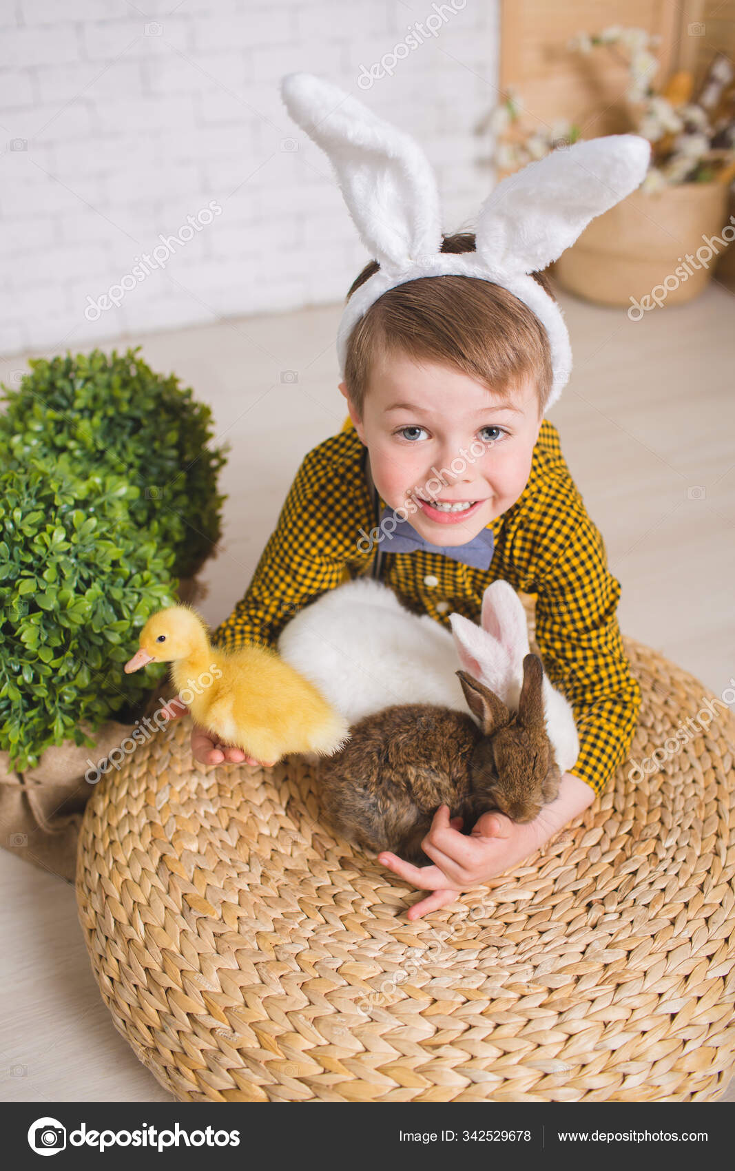 Boy with a rabbit Stock Photo by ©kirill_grekov 342529678