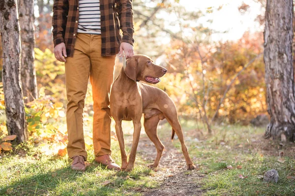 Hunter con un perro — Foto de Stock