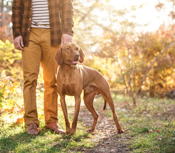 Hunter con un perro — Foto de Stock