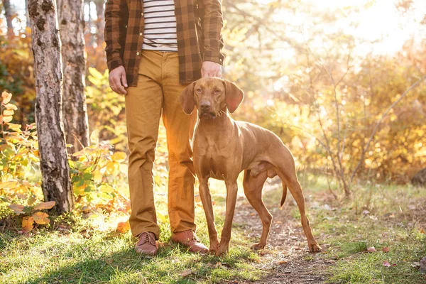 Хантер с собакой — стоковое фото