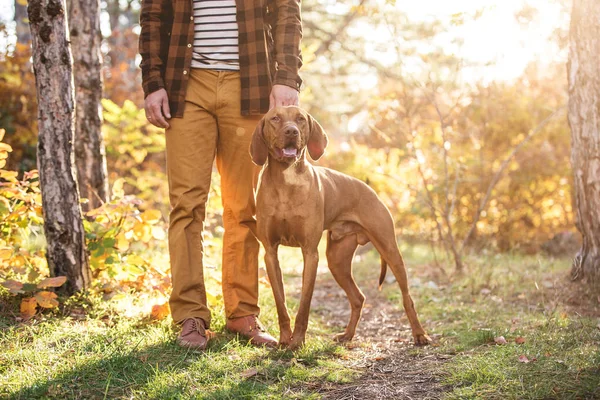 Хантер с собакой — стоковое фото