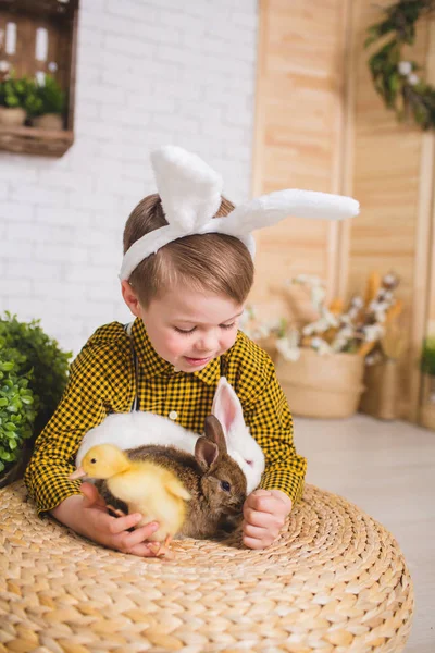 Boy with a rabbit — Stock Photo, Image