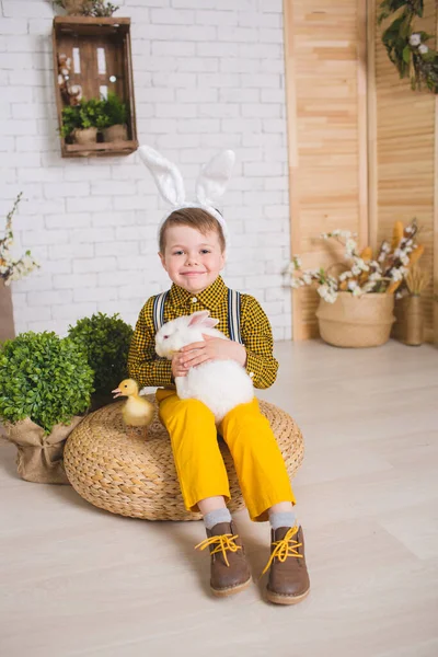 Boy with a rabbit — Stock Photo, Image