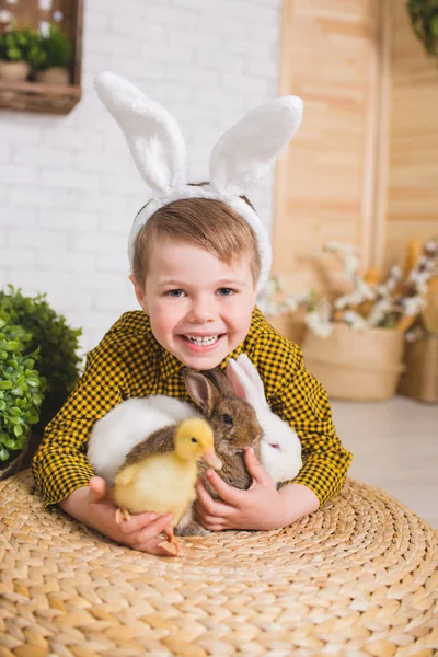 Boy with a rabbit — Stock Photo, Image