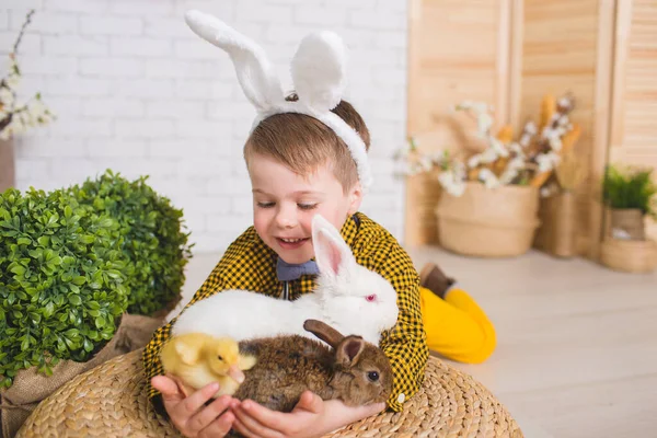 เด็กชายกับกระต่าย — ภาพถ่ายสต็อก