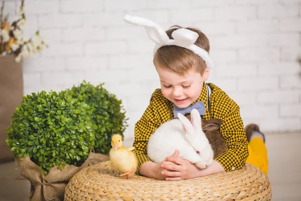 Boy with a rabbit — Stock Photo, Image