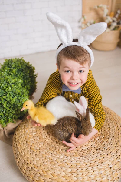 Boy with a rabbit — Stock Photo, Image