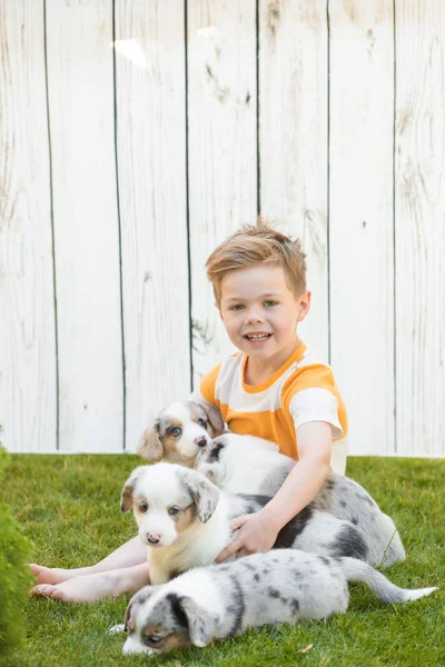Kleine jongen en corgi puppy 's — Stockfoto