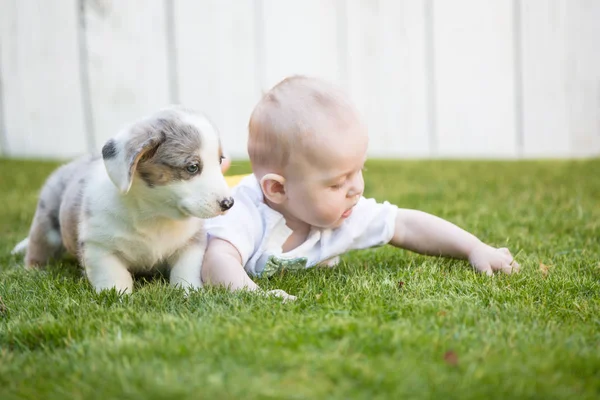 Kleine baby en corgi puppy — Stockfoto