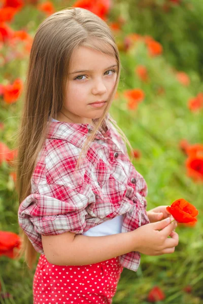 Chica en el campo de amapola —  Fotos de Stock