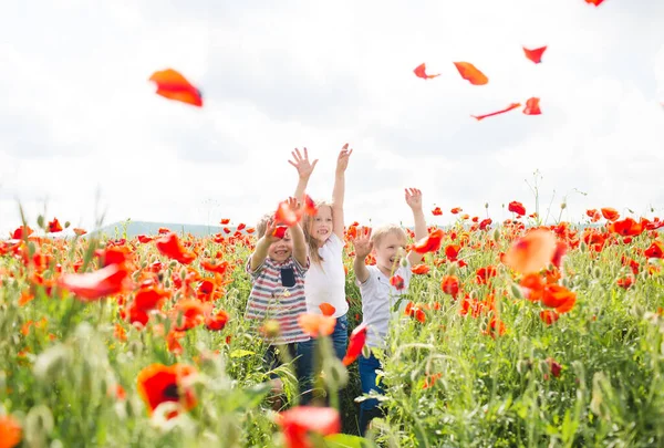 Brothers and sister in poppy field — 图库照片