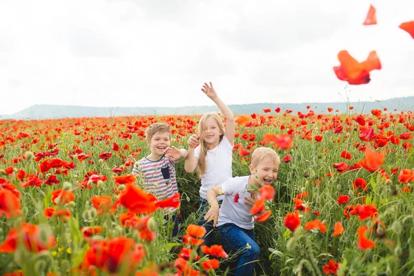 Brothers and sister in poppy field — ストック写真